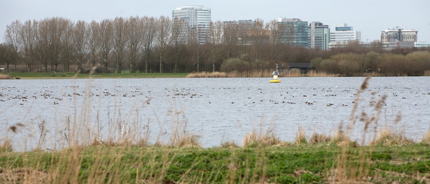 Koude wordt gewonnen uit de Oudekerkerplas
