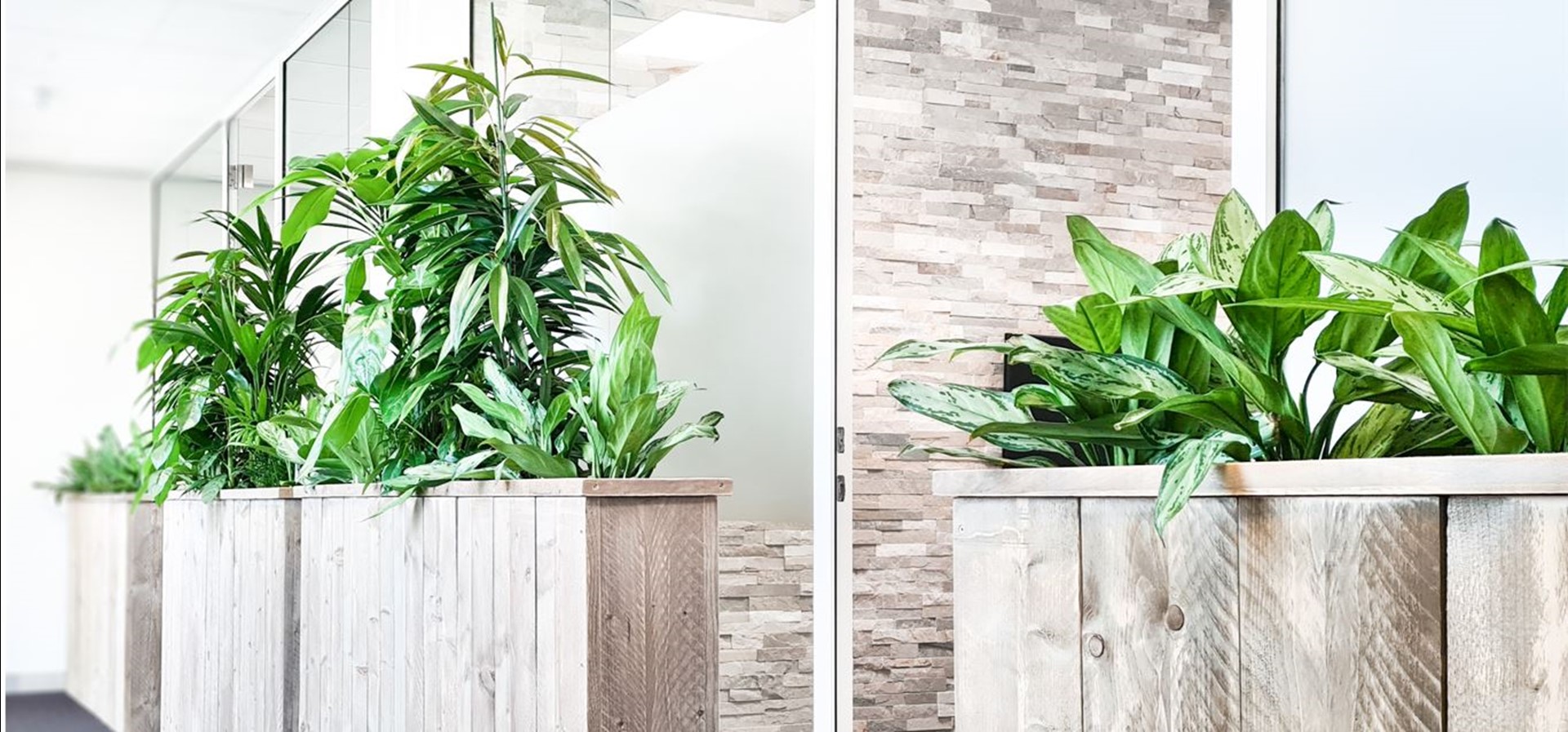 Interieurbeplanting op een kantoor van Vattenfall