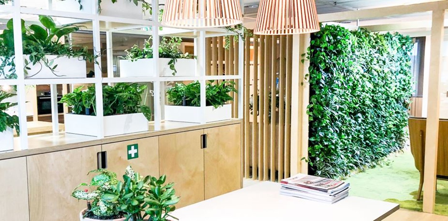 Groene wand kantoor