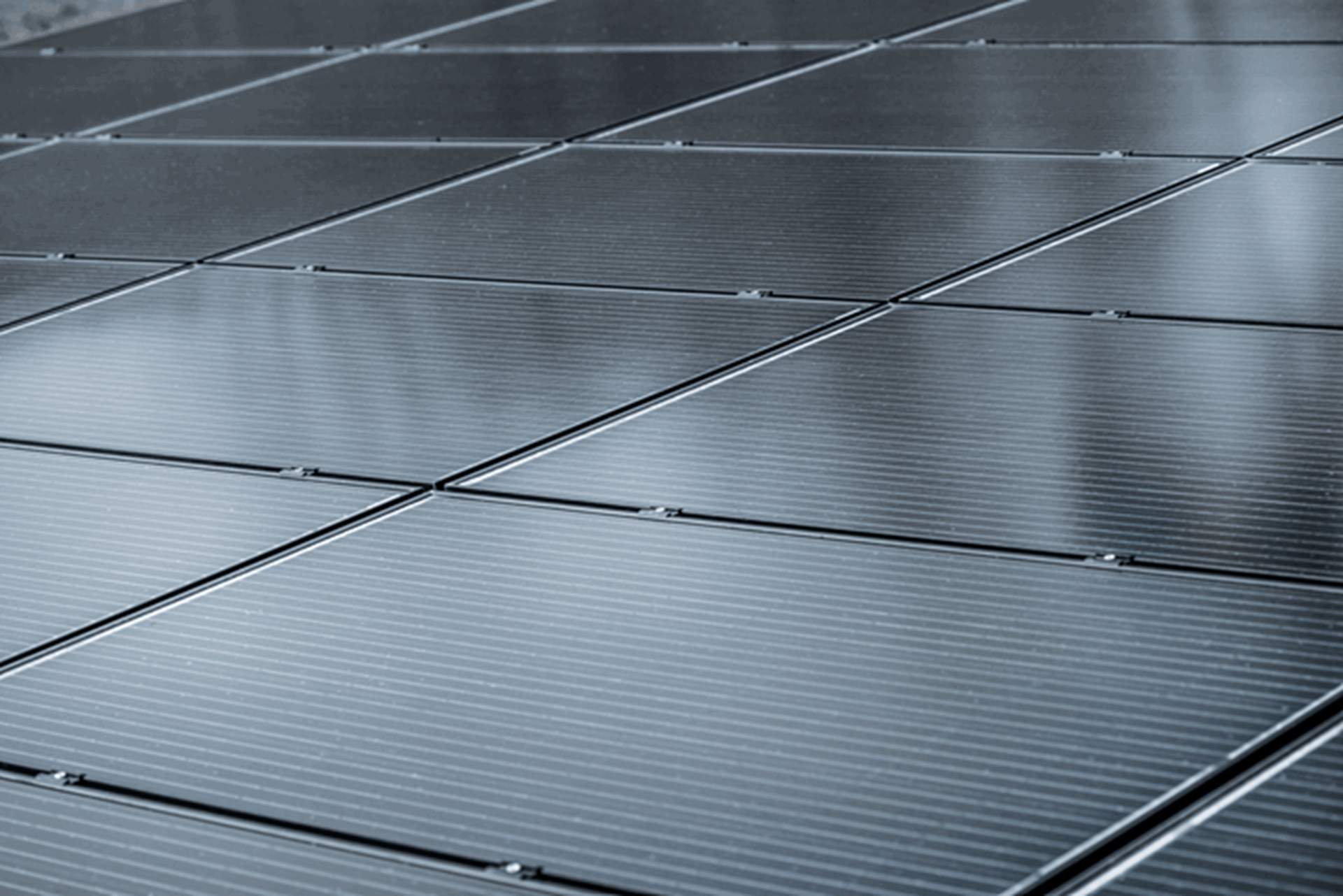 Zonnepanelen van Vattenfall van dichtbij gefotografeerd - mkb zonnepanelen zakelijk
