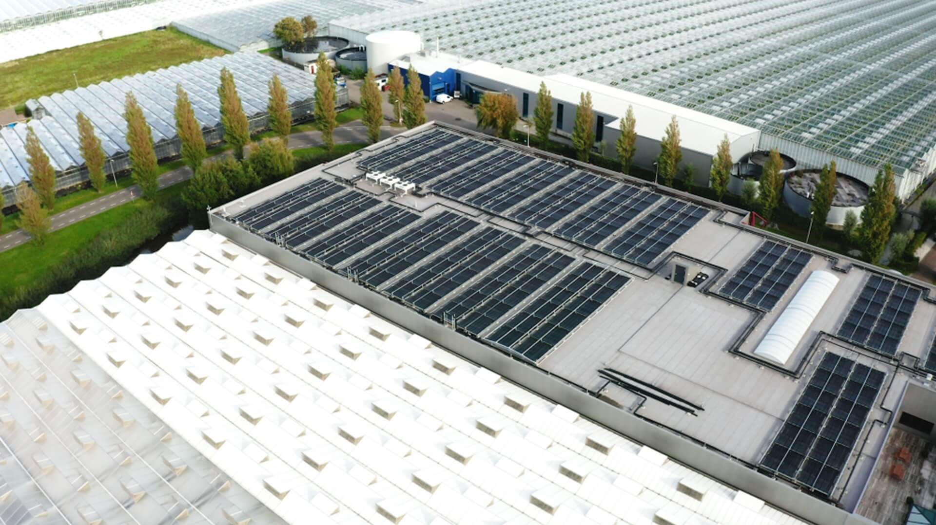 Luchtfoto van een kassencomplex in het Westland