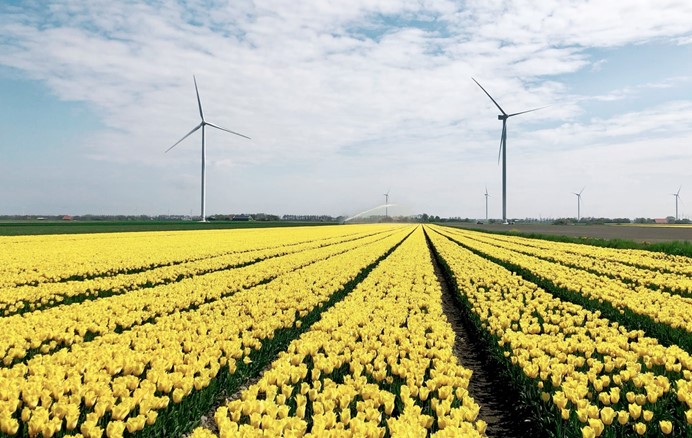 Windpark Prinses Ariane