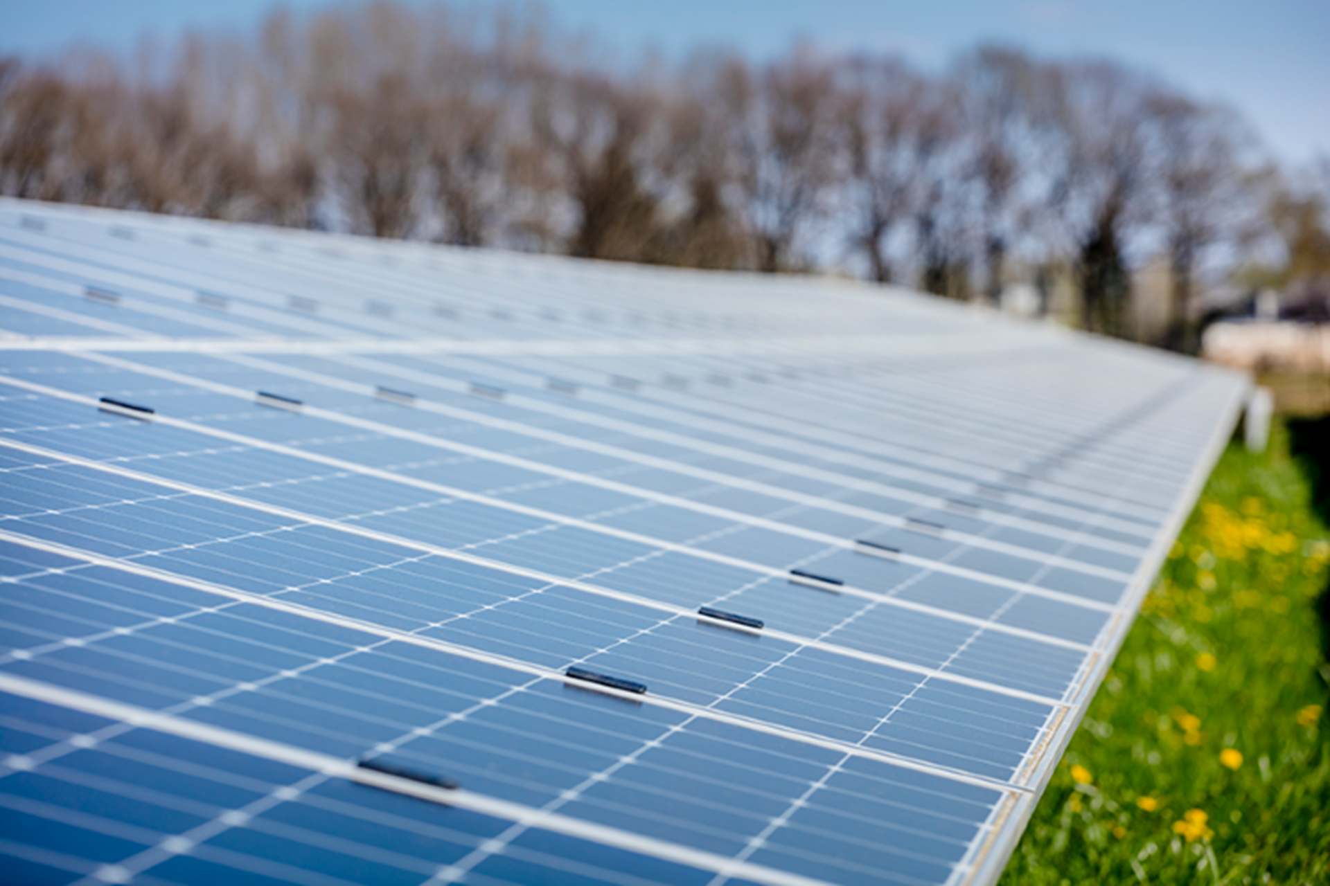 Grote rij met zonnepanelen in zonnepark Nieuwe Dijk voor extra zonne-energie