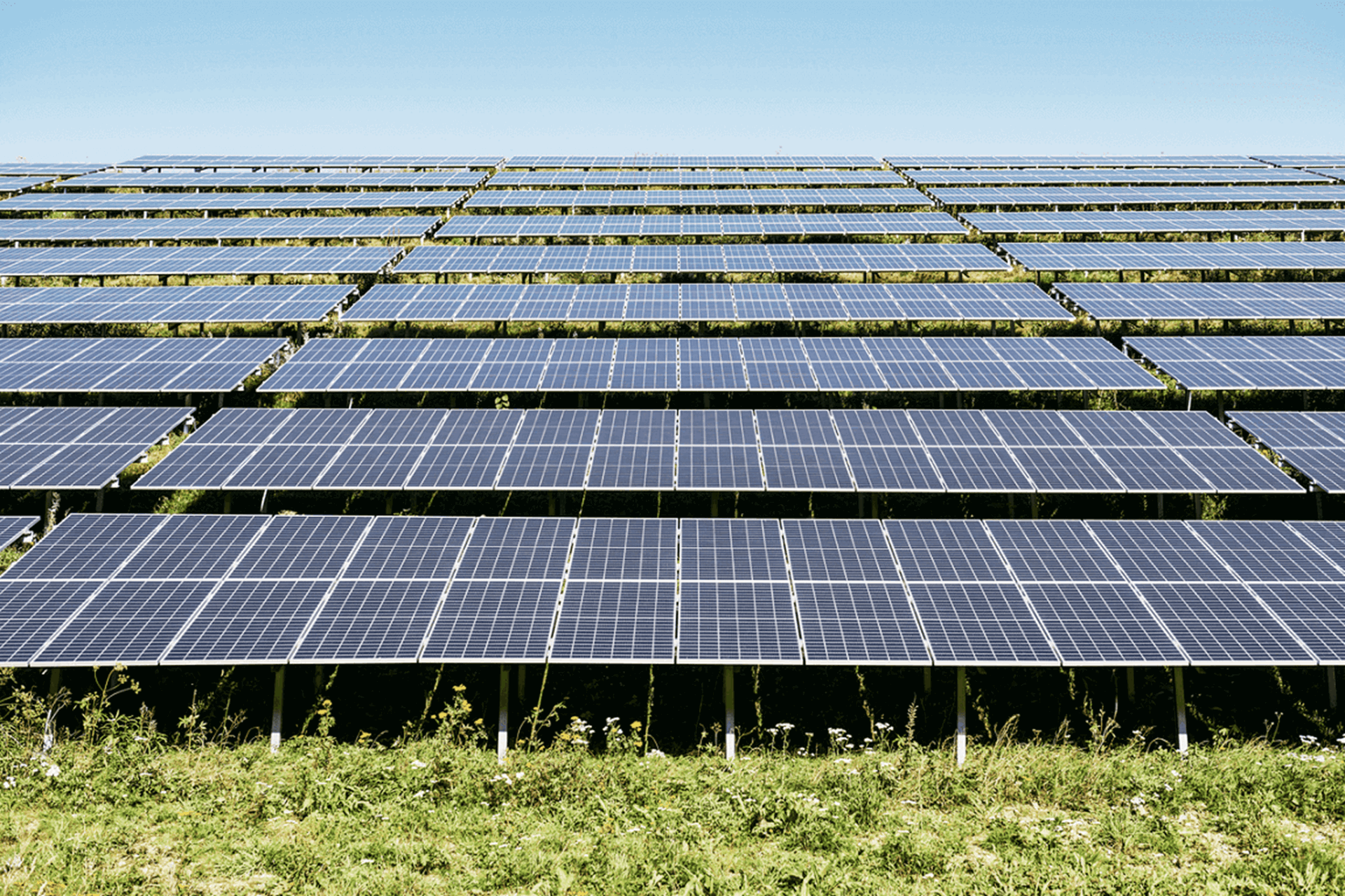 Veld met zonnepanelen 