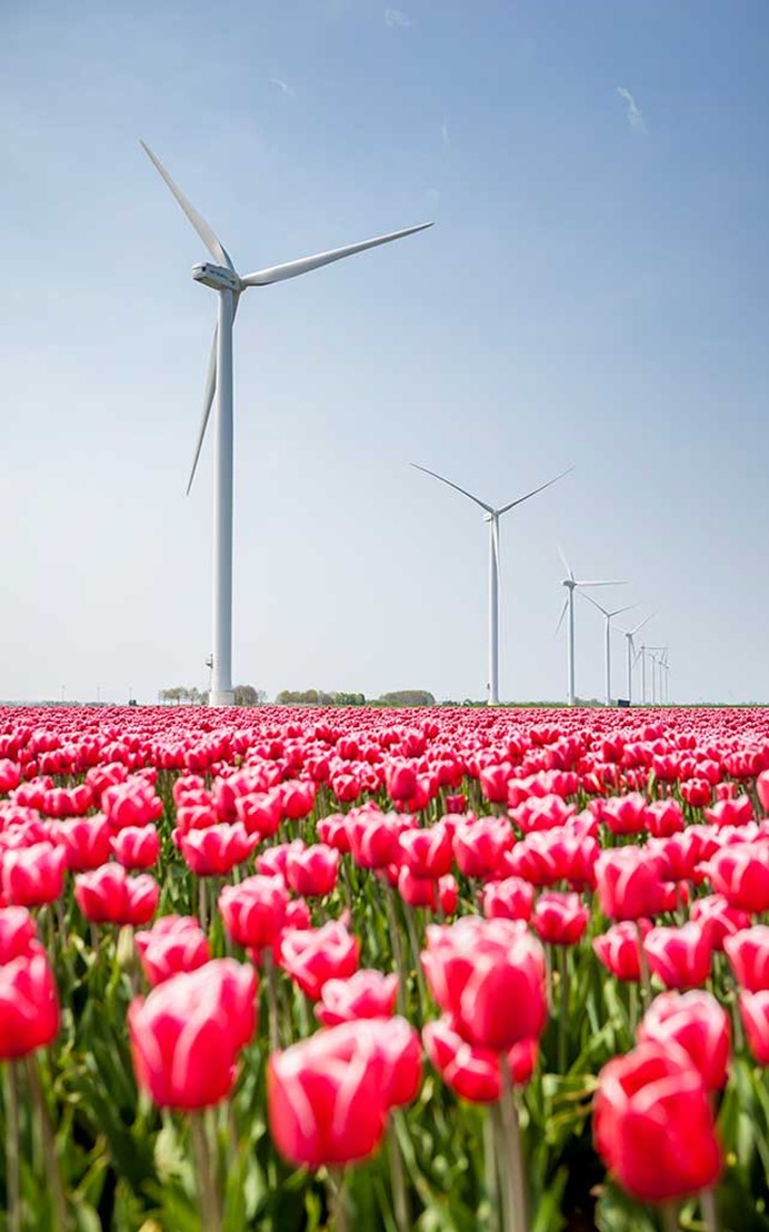 Windpark Prinses Alexia