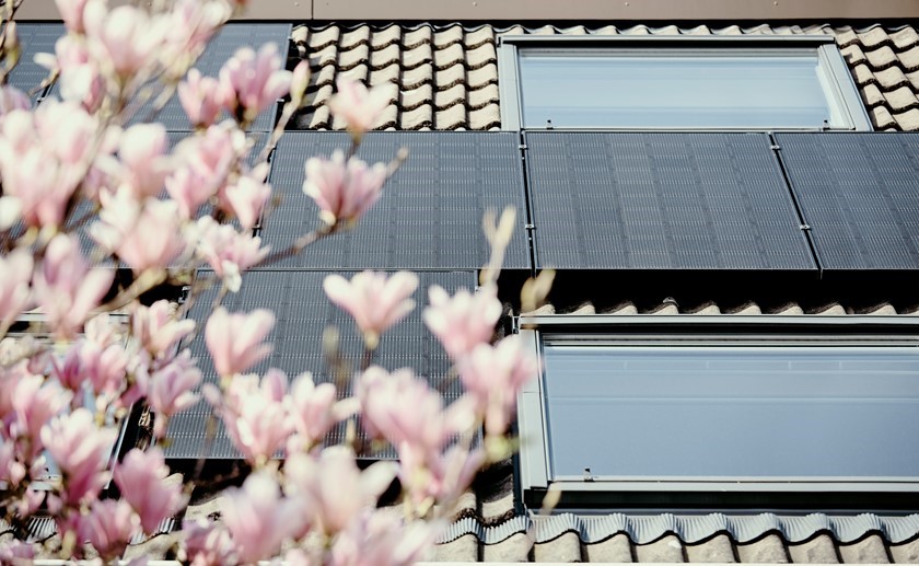 Zonnepanelen zijn nog steeds rendabel