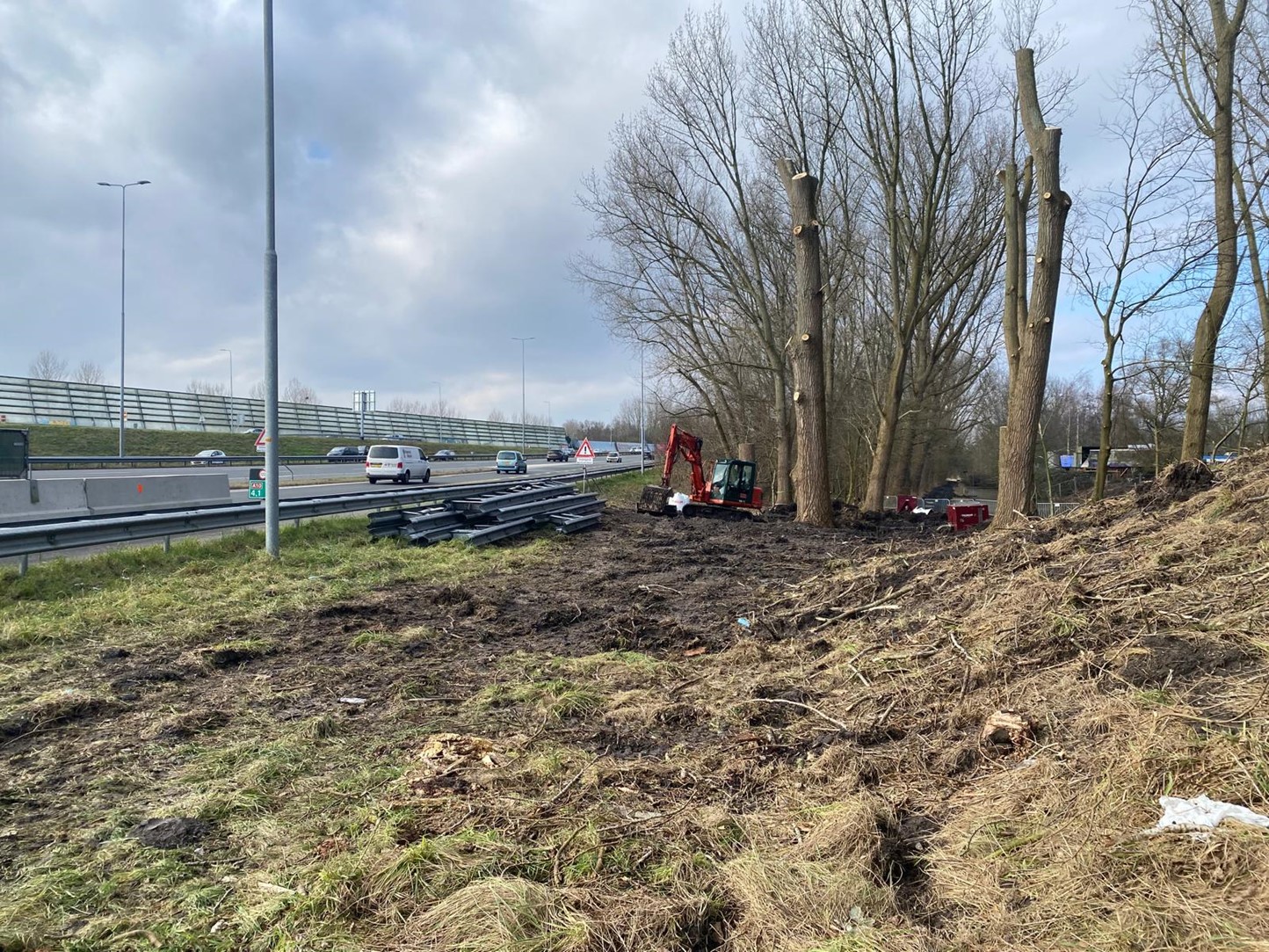 Bruine berm met bomen en lantaarnpaal 