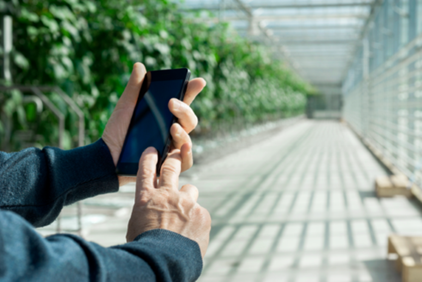 MKB ondernemer in zijn kas houdt telefoonvast - Slimme meter uitlezen na toestemming